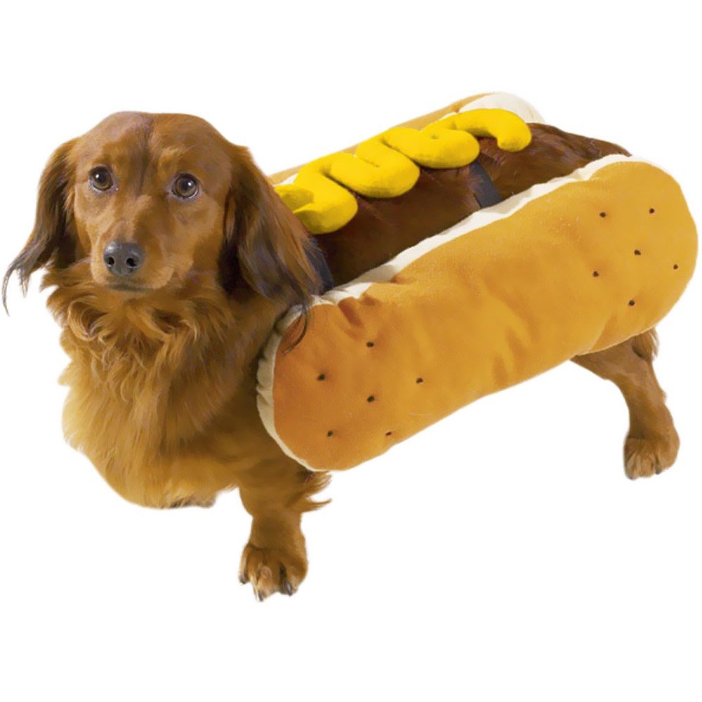 Dog Costumes