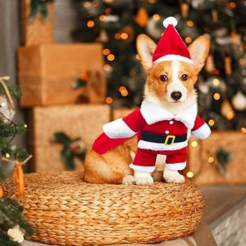 Dog Costumes
