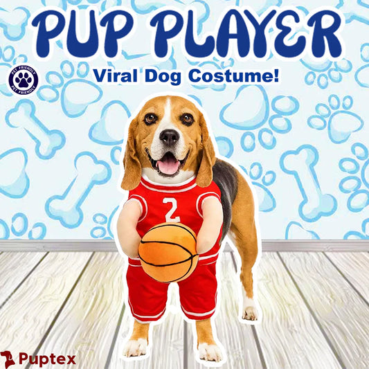Dog Costumes